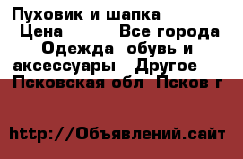 Пуховик и шапка  Adidas  › Цена ­ 100 - Все города Одежда, обувь и аксессуары » Другое   . Псковская обл.,Псков г.